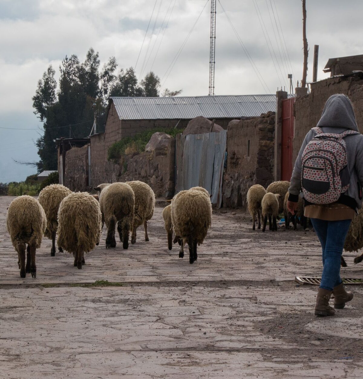 Ollantaytambo Reise: Lebendige Inka-Stadt im Heiligen Tal