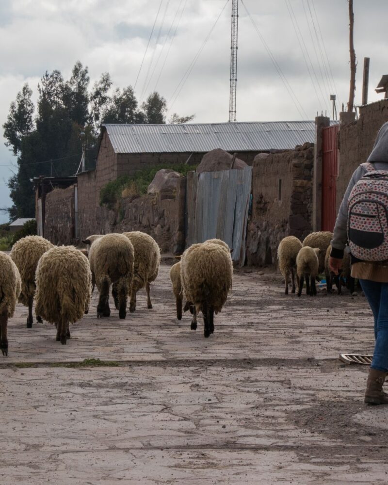 Ollantaytambo Reise: Lebendige Inka-Stadt im Heiligen Tal