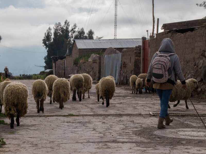 Ollantaytambo Reise: Lebendige Inka-Stadt im Heiligen Tal