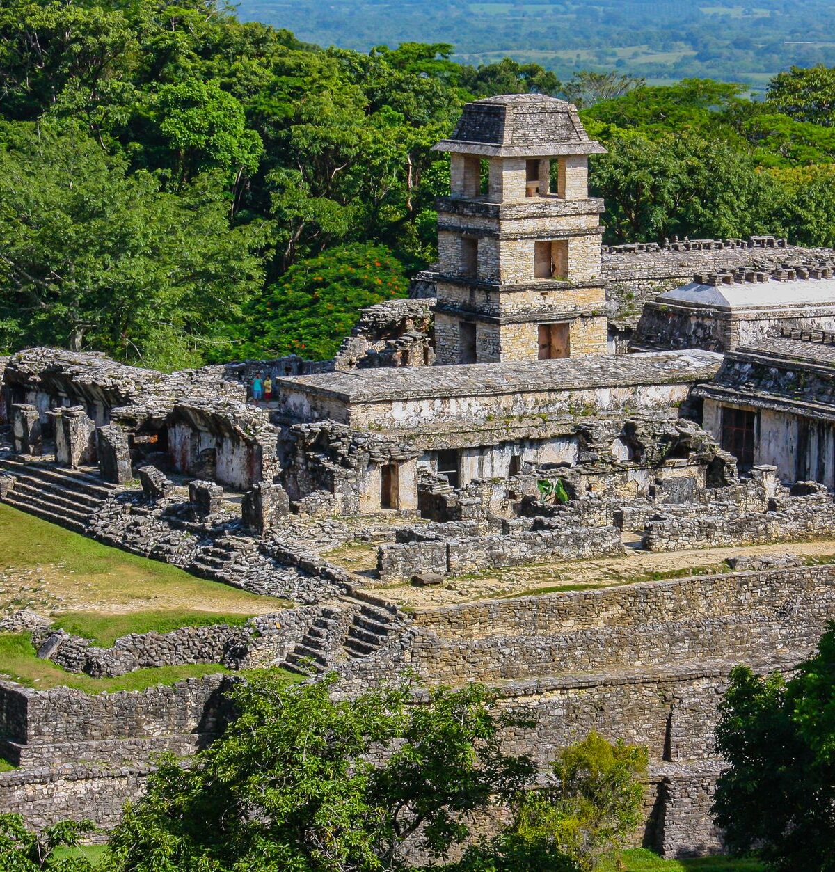 Tikal Reise: Ihr Guide für die Maya-Stätte in Guatemala