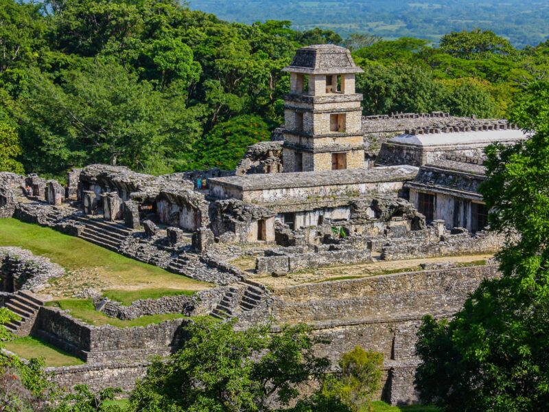 Tikal Reise: Ihr Guide für die Maya-Stätte in Guatemala