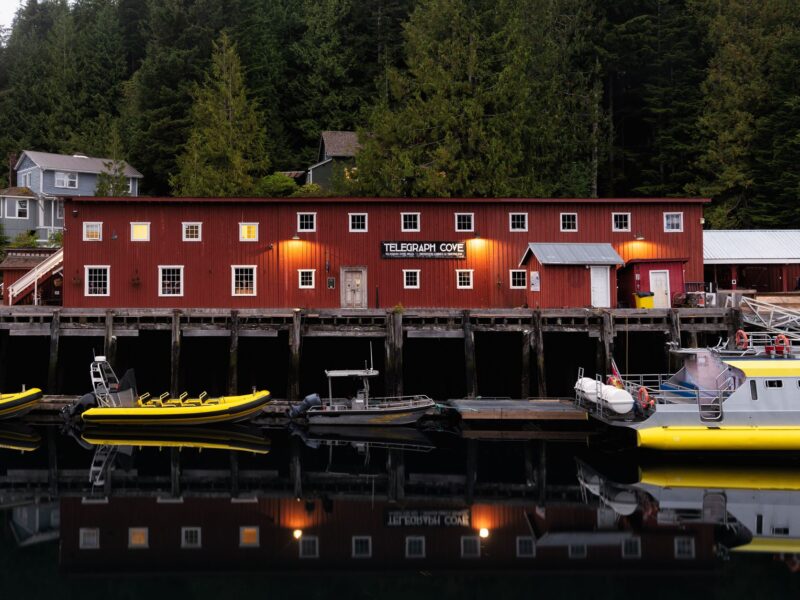 Die Tlingit: Kultur, Geschichte und Gegenwart in Alaska
