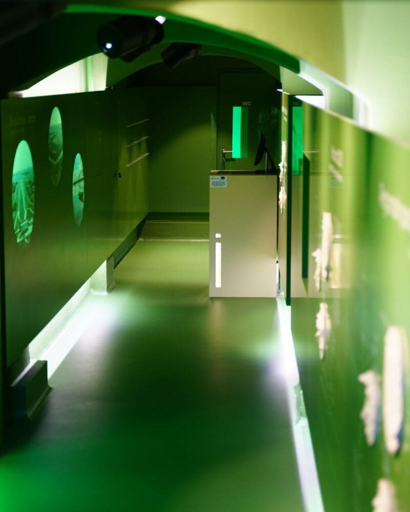UBC Museum Anthropology: Guide zu Haida-Kunst und Kultur