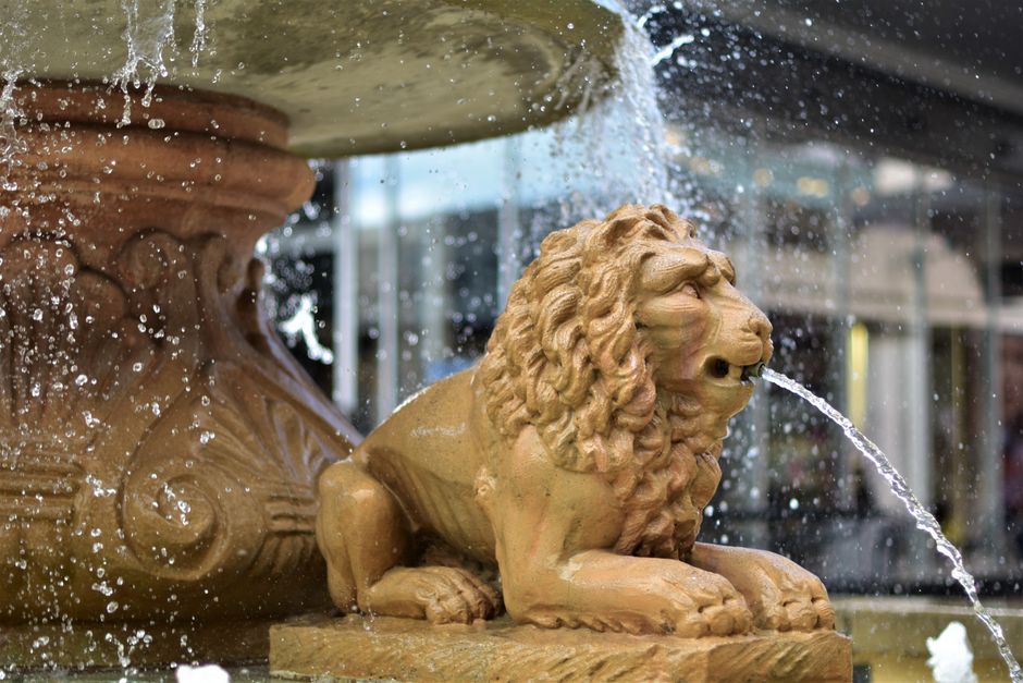 Igloo: Bauweise, Funktion und Bedeutung in Nordamerika – Nahaufnahme einer Löwenstatue in einem Brunnen, mit spritzendem W…