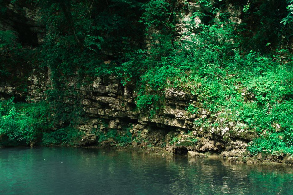 Muscogee Creek: Geschichte, Kultur und Gegenwart der Konföderation – Lebhaftes grünes Laub, das entlang eines felsigen Bac…
