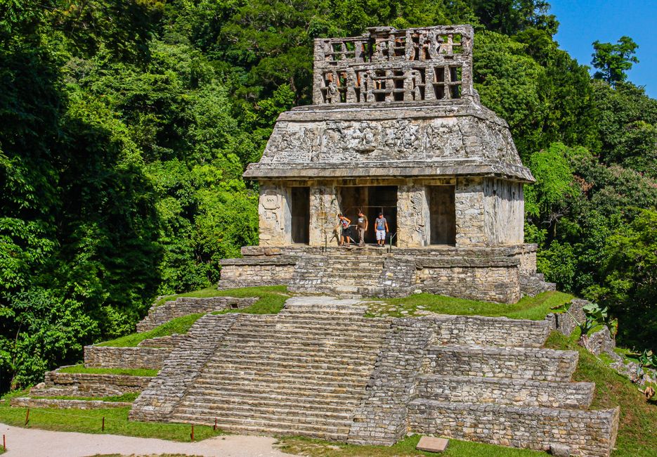 Palenque Reise: Ihr Guide für die Maya-Stätte in Chiapas – Erkunden Sie den alten Maya-Tempel, umgeben von lebhafter Dschu…