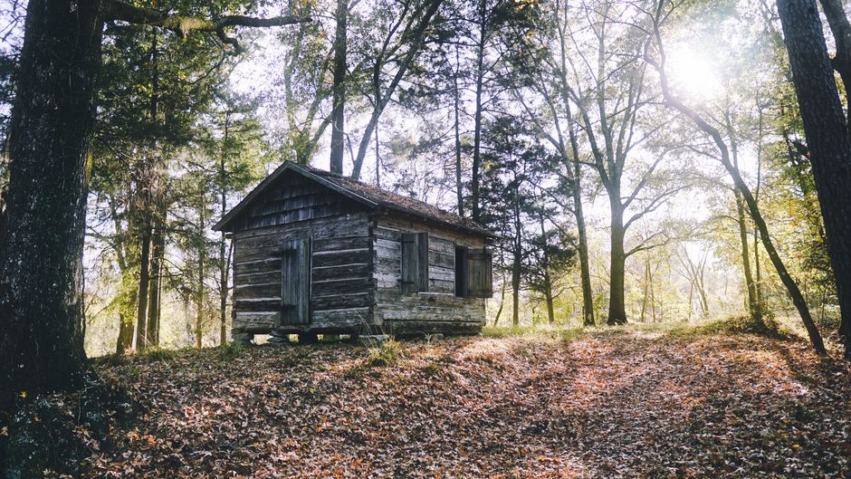 Trail of Tears: Die Zwangsumsiedlung der Cherokee Nation – Erforschen Sie eine rustikale Holzhütte zwischen herbstlichen B…